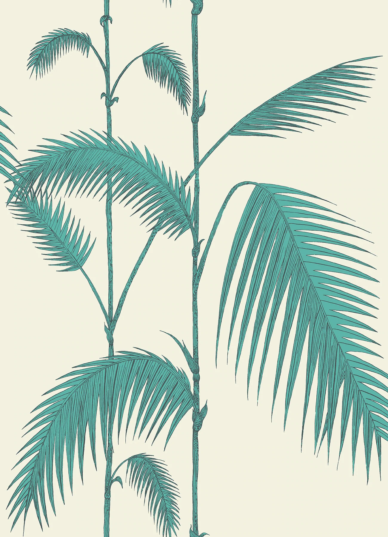 Palm Leaves Tapete - 66/2012 - Cole&Son - The Contemporary Collection von Cole&Son aus der Kategorie The Contemporary Collection mit der Artikelnummer 66-2012